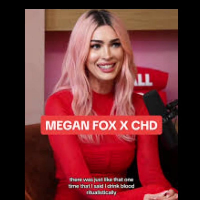 mobina mahdavi megan fox amirreza safari