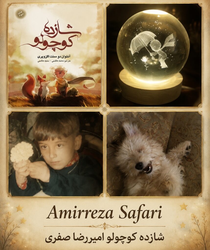 Amirreza Safari مبینا